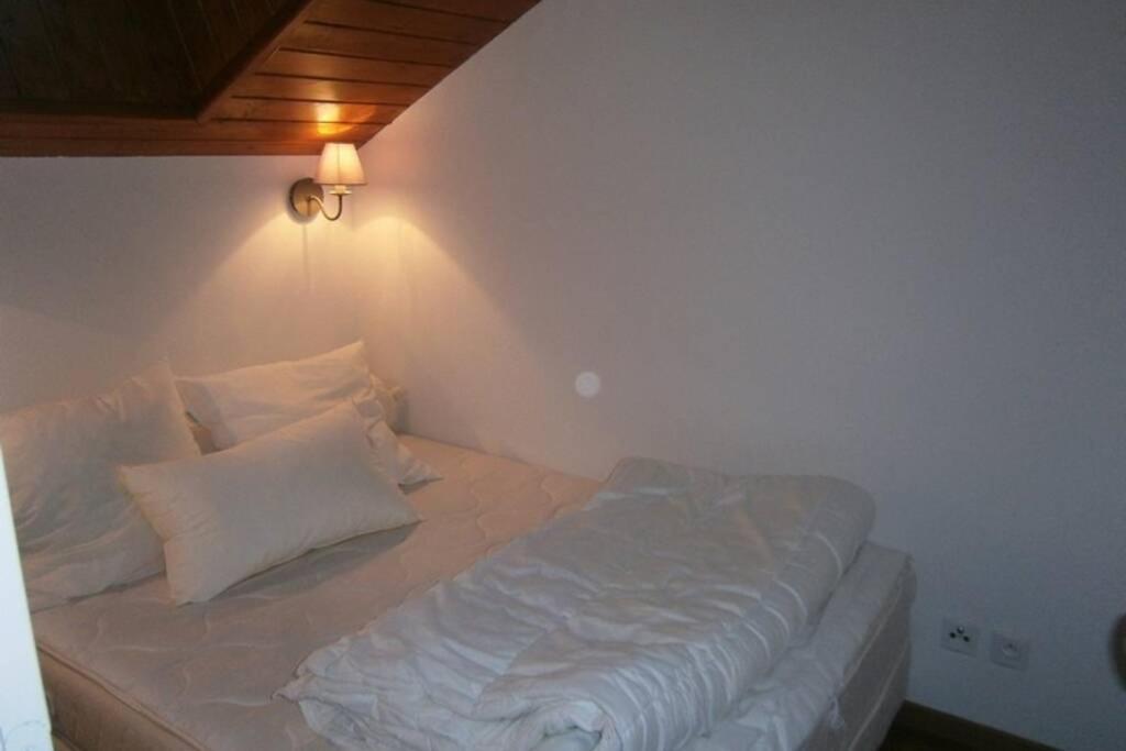 Duplex 7 Pers 3 Pied Des Pistes La Joue Du Loup Apartment Le Devoluy